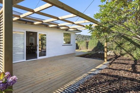 Photo of property in 29 Beechworth Street, North East Valley, Dunedin, 9010