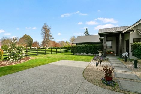Photo of property in 4 Eldonwood Drive, Matamata, 3400