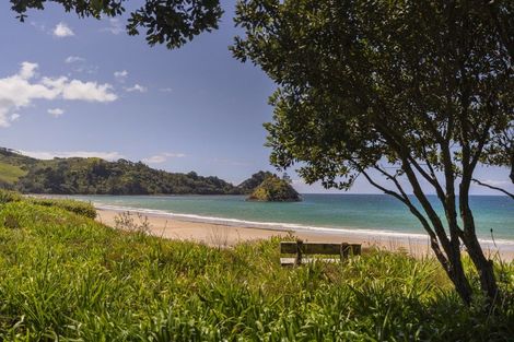 Photo of property in 122 Mangakahia Drive, Whangapoua, Coromandel, 3582