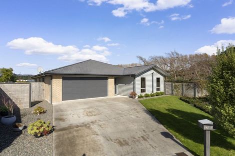 Photo of property in 12 Dow Chung Place, Otaki, 5512