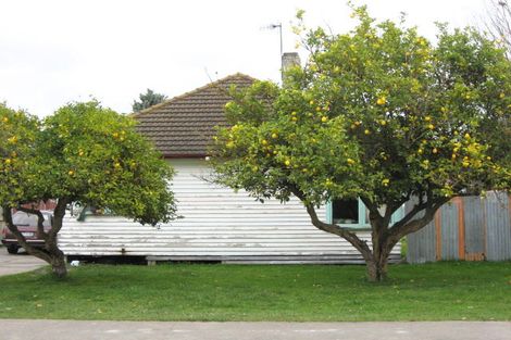 Photo of property in 914 Bledisloe Street, Raureka, Hastings, 4120