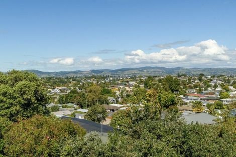 Photo of property in 20 Brookfield Terrace, Brookfield, Tauranga, 3110