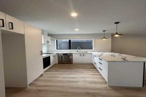 Photo of property in 1 Pipi Place, Levin, 5510