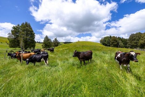 Photo of property in 467a Te Mata Road, Raglan, 3295