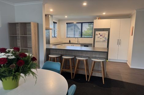 Photo of property in 17 Discovery Place, Marfell, New Plymouth, 4310