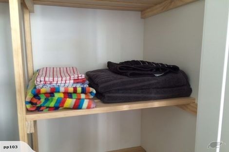 Photo of property in 114 Austin Street, Mount Victoria, Wellington, 6011