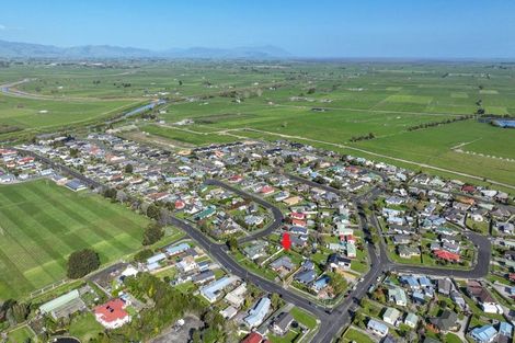 Photo of property in 61 Hayward Road, Ngatea, 3503