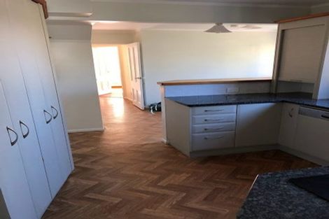 Photo of property in 155 Aro Street, Aro Valley, Wellington, 6021