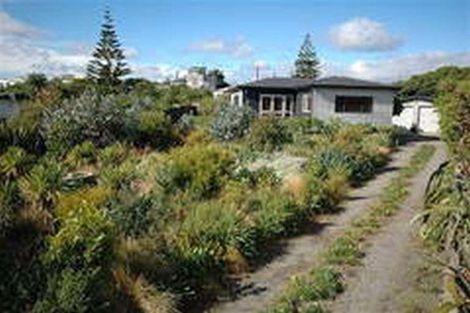 Photo of property in 40 Rodney Avenue, Te Horo Beach, Otaki, 5581