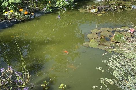 Photo of property in 24 Thousand Acre Road, Alma, Oamaru, 9492