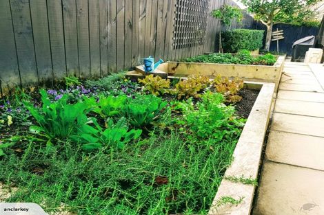 Photo of property in 2/17 Heathglen Place, Bayview, Auckland, 0629