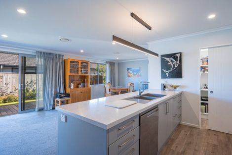 Photo of property in 46 Youngberry Drive, Richmond, 7020