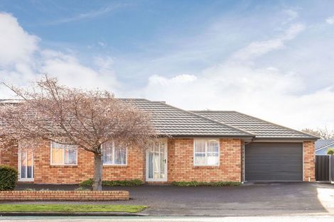 Photo of property in 87c Saint Martins Road, Saint Martins, Christchurch, 8022