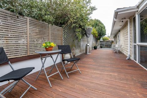 Photo of property in 19 Campbell Street, Havelock North, 4130