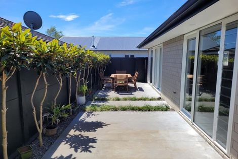 Photo of property in 1/175 Carrington Street, Lower Vogeltown, New Plymouth, 4310