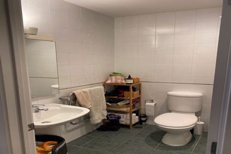 Photo of property in 8a Madeira Lane, Grafton, Auckland, 1023