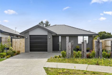 Photo of property in 21 Taffe Crescent, Pyes Pa, Tauranga, 3112