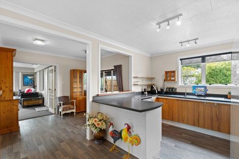 Photo of property in 113 Buckland Street, Putaruru, 3411