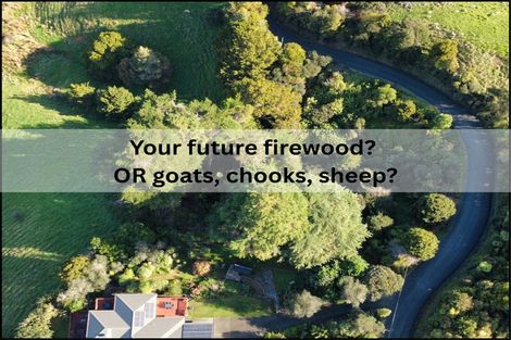 Photo of property in 42 Hungry Creek Road, Puhoi, Warkworth, 0983