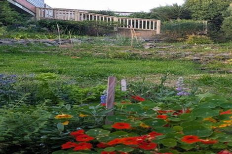 Photo of property in 54 Tomahawk Road, Andersons Bay, Dunedin, 9013