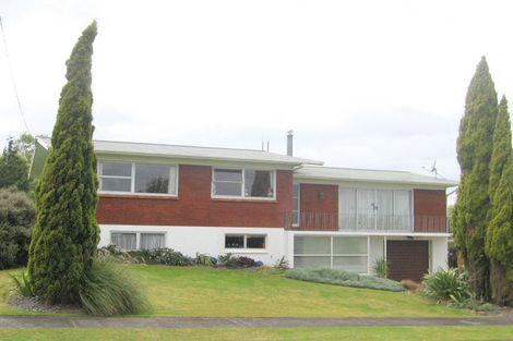 Photo of property in 14 Cobham Drive, Morrinsville, 3300