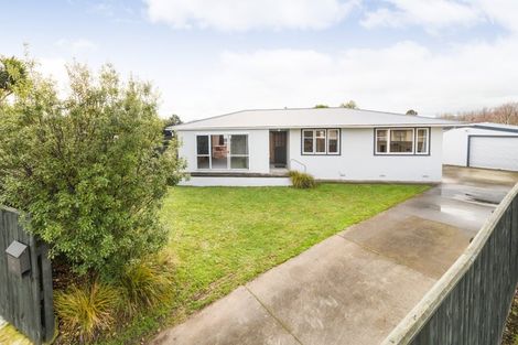 Photo of property in 46 Leicester Street, Terrace End, Palmerston North, 4410