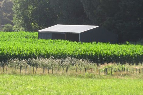 Photo of property in 6 Seales Road, Morrinsville, 3374