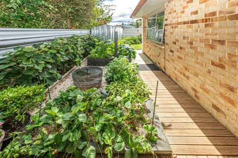 Photo of property in 34b Field Street, Aramoho, Whanganui, 4500