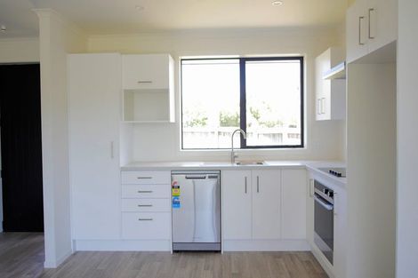 Photo of property in 98 Stortford Street, Ashhurst, 4810