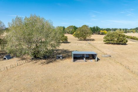 Photo of property in 203 West Bush Road, Upper Plain, Masterton, 5888