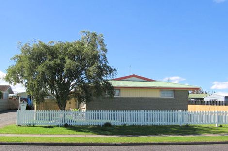 Photo of property in 32a Barnett Street, Putaruru, 3411