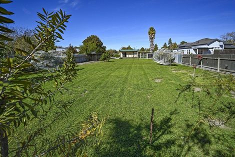 Photo of property in 301b Frederick Street, Mahora, Hastings, 4120