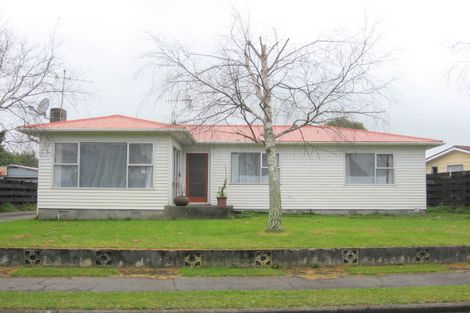 Photo of property in 10 Featherston Street, Levin, 5510