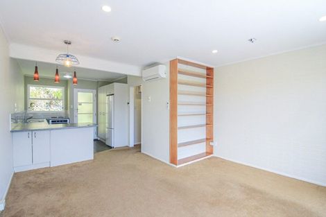 Photo of property in 1/22 Mccoll Street, Vogeltown, Wellington, 6021