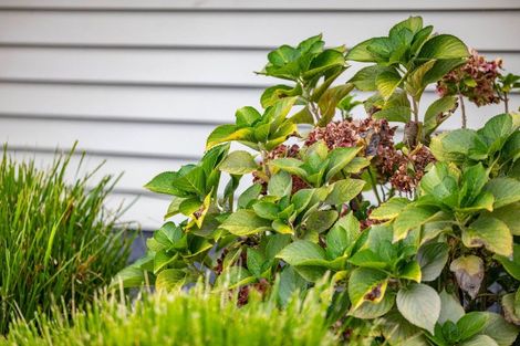 Photo of property in 1054 Te Rahu Road, Te Awamutu, 3800