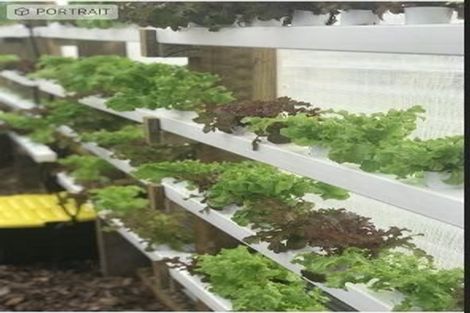 Photo of property in 23 Church Road, Matakohe, 0593