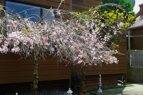 Photo of property in 2/60 Centorian Drive, Windsor Park, Auckland, 0632