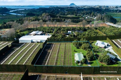 Photo of property in 154b Wairoa Road, Minden, Tauranga, 3171