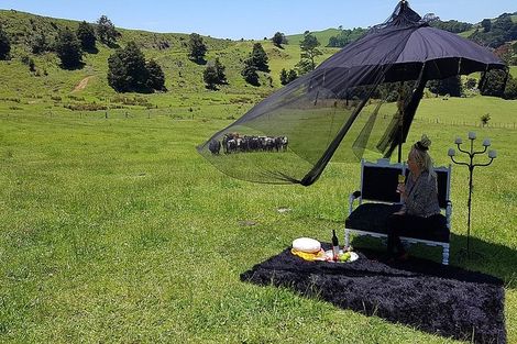 Photo of property in 538 Matakana Valley Road, Matakana, Warkworth, 0985