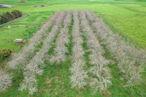 Photo of property in 110 Kells Lane, Lichfield, Putaruru, 3482