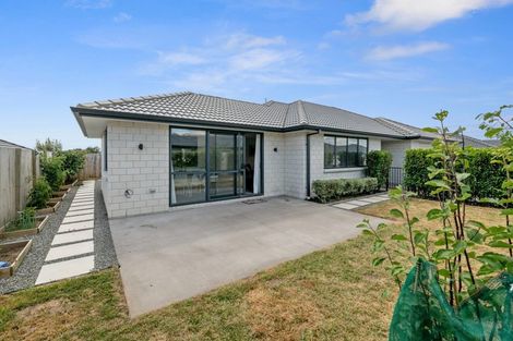 Photo of property in 67 Hastings Road, Pyes Pa, Tauranga, 3112