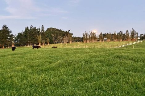 Photo of property in 330 Pairatahi Road, Kaingaroa, Kaitaia, 0483