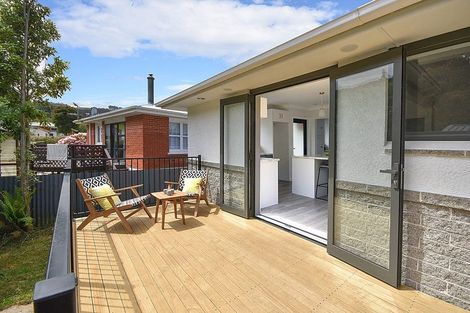 Photo of property in 111 Norwood Street, Normanby, Dunedin, 9010