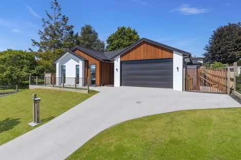 Photo of property in 151 Margaret Drive, Omokoroa, 3114