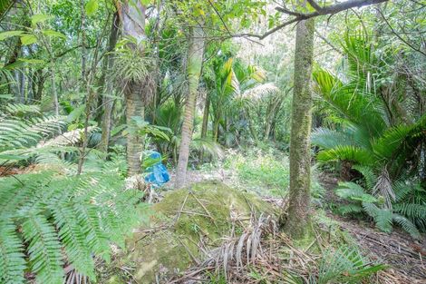 Photo of property in 12 Hartmount Place, Te Miko, Punakaiki, 7871