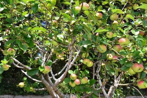 Photo of property in 3 Everton Road, Andersons Bay, Dunedin, 9013