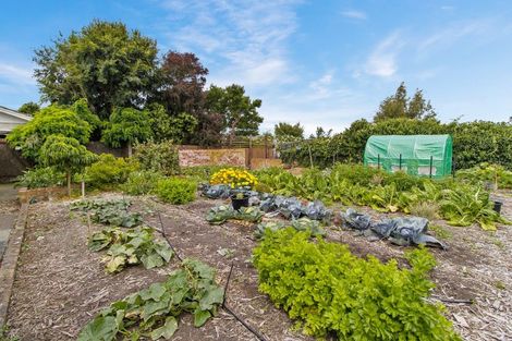 Photo of property in 24 Harper Street, Parkside, Timaru, 7910