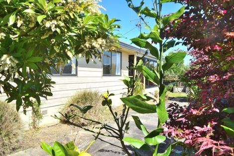 Photo of property in 11b Westwood Street, Bellevue, Tauranga, 3110