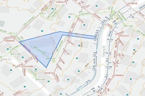 Photo of property in 13 Coburg Street, Henderson, Auckland, 0612