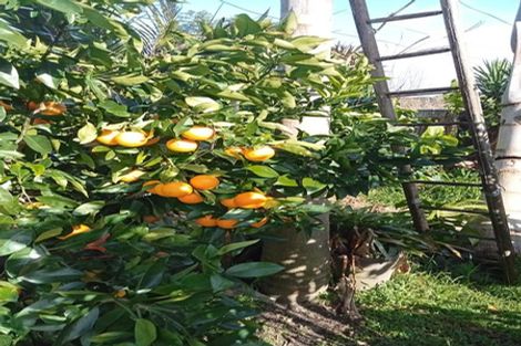 Photo of property in 40 Judea Road, Judea, Tauranga, 3110